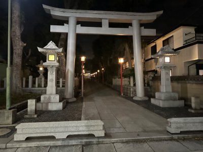 IMG_0173.jpeg