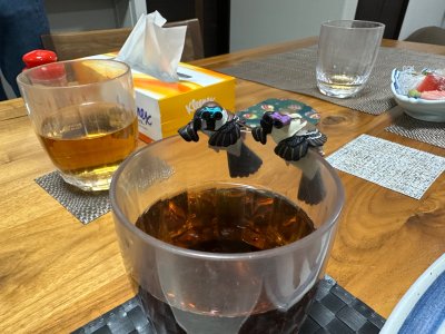 IMG_0280.jpeg IMG_0280.jpeg