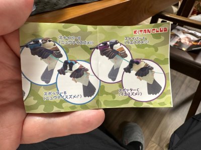 IMG_0282.jpeg