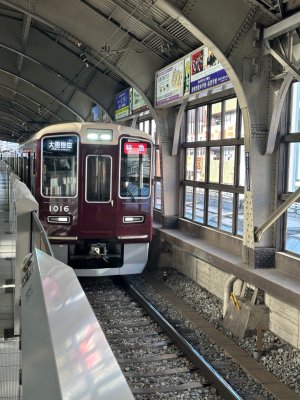 IMG_0297.jpeg