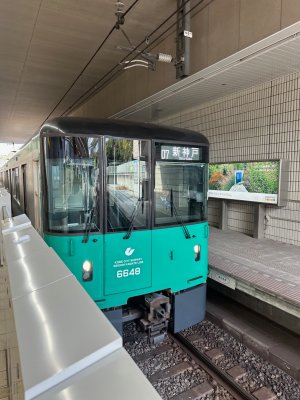 IMG_0306.jpeg