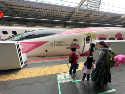 IMG_0384.jpeg