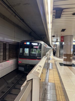 IMG_0419.jpeg