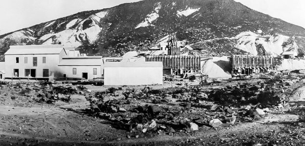 lcm-1.jpg