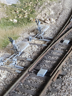 focusstackingonline.com.jpeg (10).png