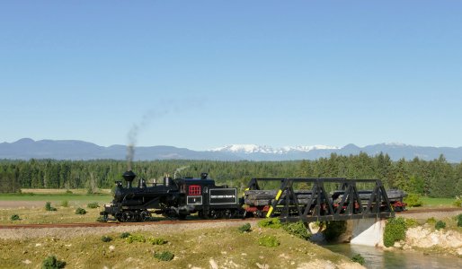 Comox Logging Stack Cropped_edited_4.jpg
