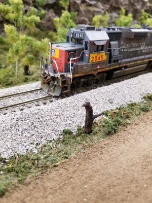 20200918_175350.jpg