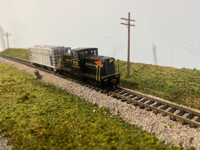 IMG_2110.jpeg