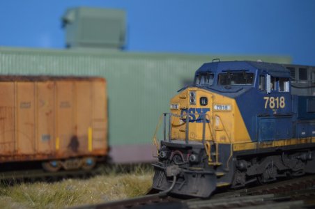 DSC_2399.JPG