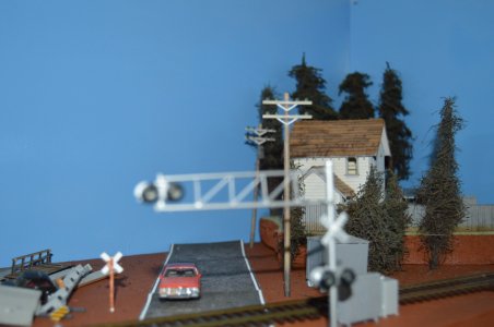 DSC_2404.JPG