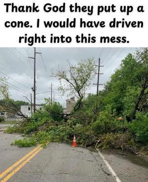 IMG_0111.jpeg