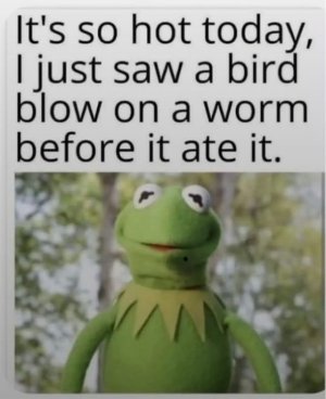 IMG_2716.jpeg