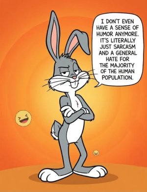 bugs sarcasm.jpeg
