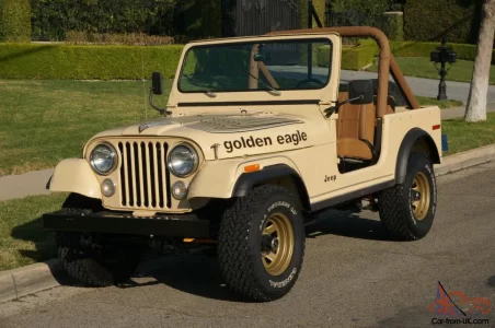 CJ7 golden eagle.webp