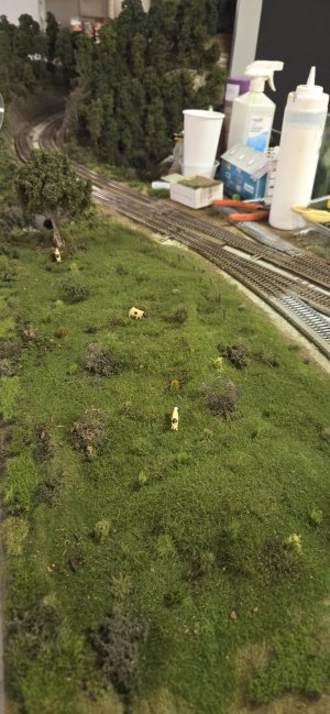 109 pasture.jpg