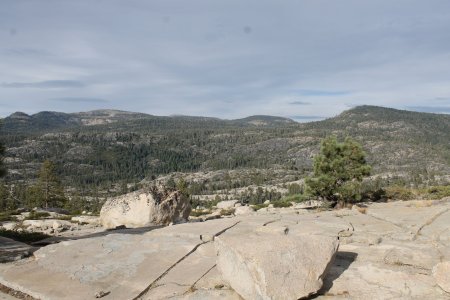 IMG_0620.JPG