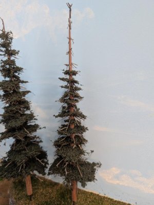 Trees1.jpg