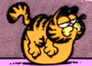 FAT GARFIELD.jpg