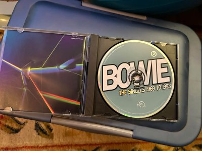 Flowie 2.jpg