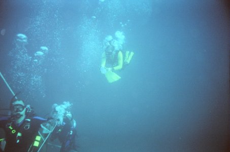 James Rowland & Mark Meador Diving.JPG