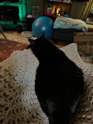 fuzzbut.jpg
