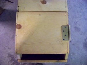 cart 008.JPG