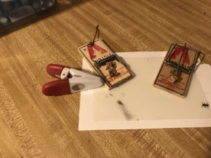 IMG_3111.JPG