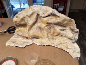 20180528_094246.jpg