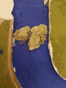 20180603_074142.jpg