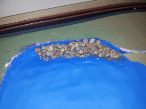 20180603_090006.jpg