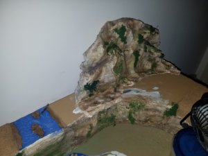 20180603_215259.jpg