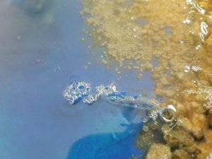 20180610_105615.jpg