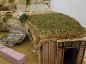 20180704_093218.jpg