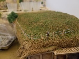 20180704_093227.jpg