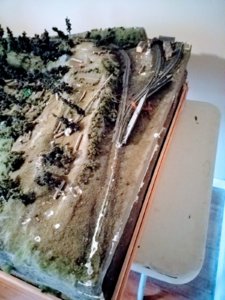 20180714_122921.jpg