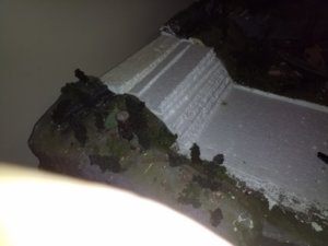 rsz_20180806_173932.jpg