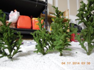 DSCN0104.jpg