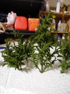 DSCN0111.jpg
