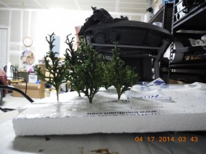 DSCN0113.jpg