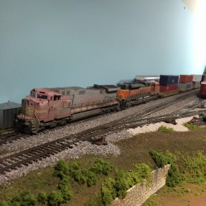 IMG_0771.jpg