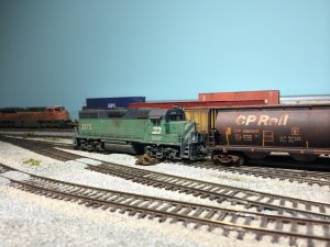 IMG_0780.jpg