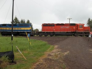 CSAH8ROW 005.jpg
