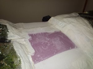 rsz_20180913_162859.jpg