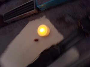 20180804_165135.jpg