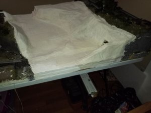 20181010_195540 (Copy).jpg