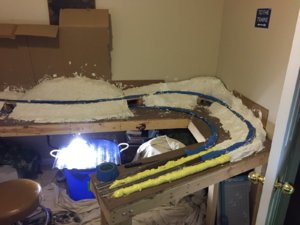IMG_3751.JPG