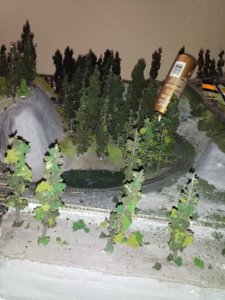 20181217_184555 (Copy).jpg
