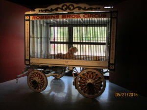 IMG_1591.JPG