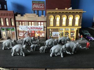 IMG_5892.JPG