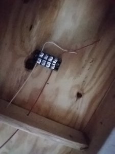 20190210_101334.jpg